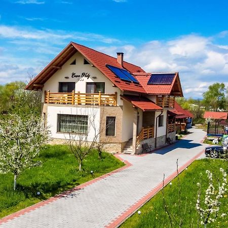 Casa Nely Hotell Sighetu Marmaţiei Exteriör bild