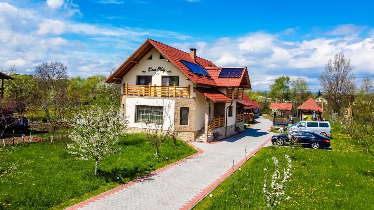 Casa Nely Hotell Sighetu Marmaţiei Exteriör bild