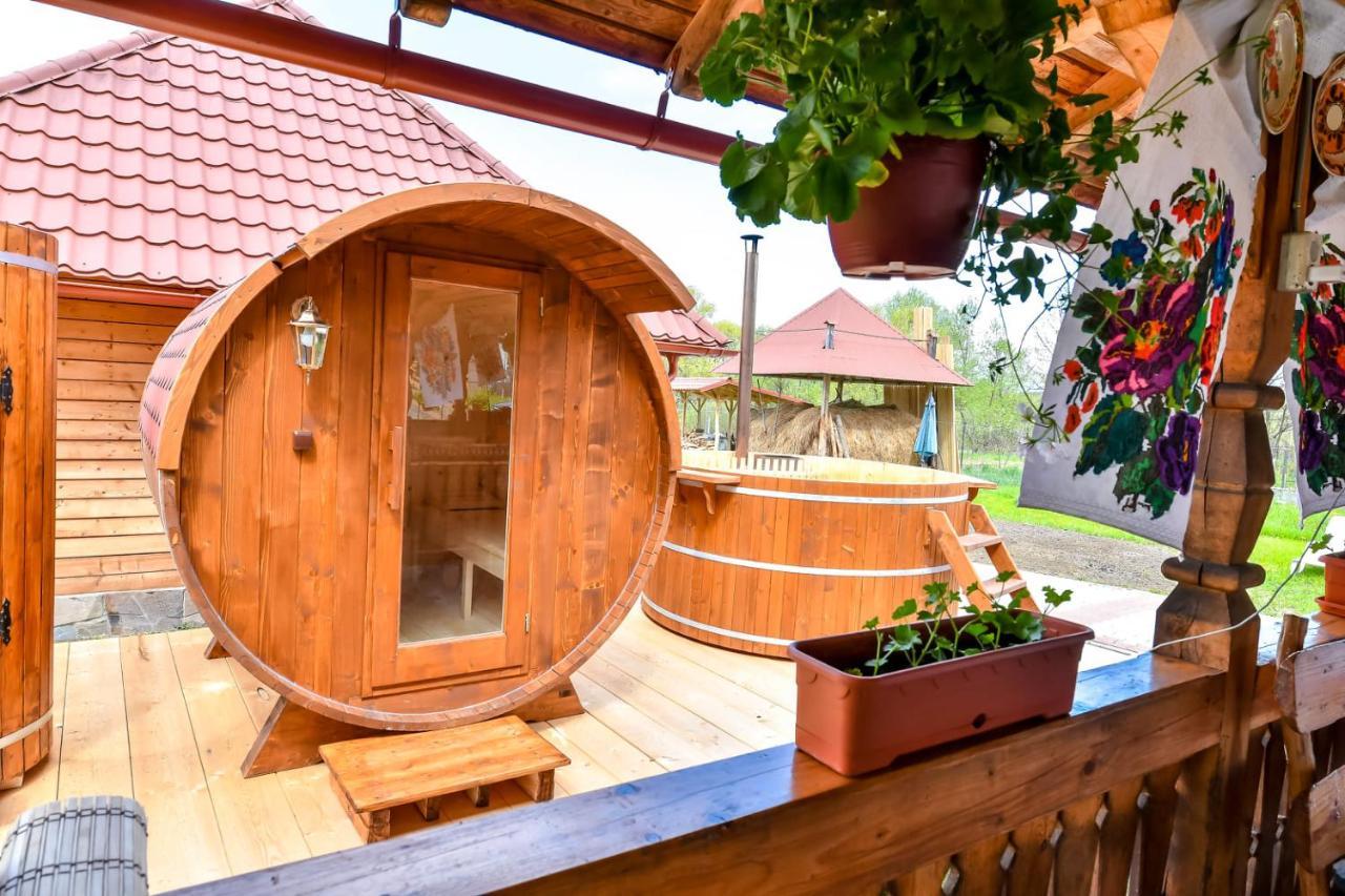 Casa Nely Hotell Sighetu Marmaţiei Exteriör bild