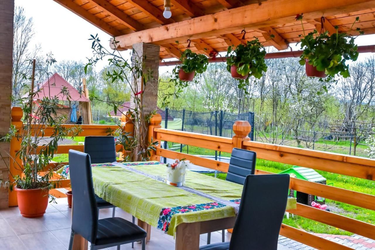 Casa Nely Hotell Sighetu Marmaţiei Exteriör bild
