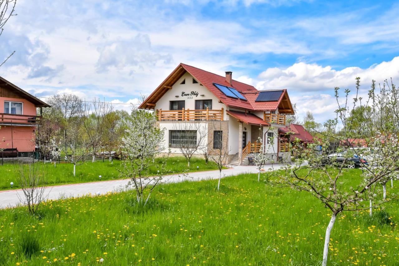 Casa Nely Hotell Sighetu Marmaţiei Exteriör bild