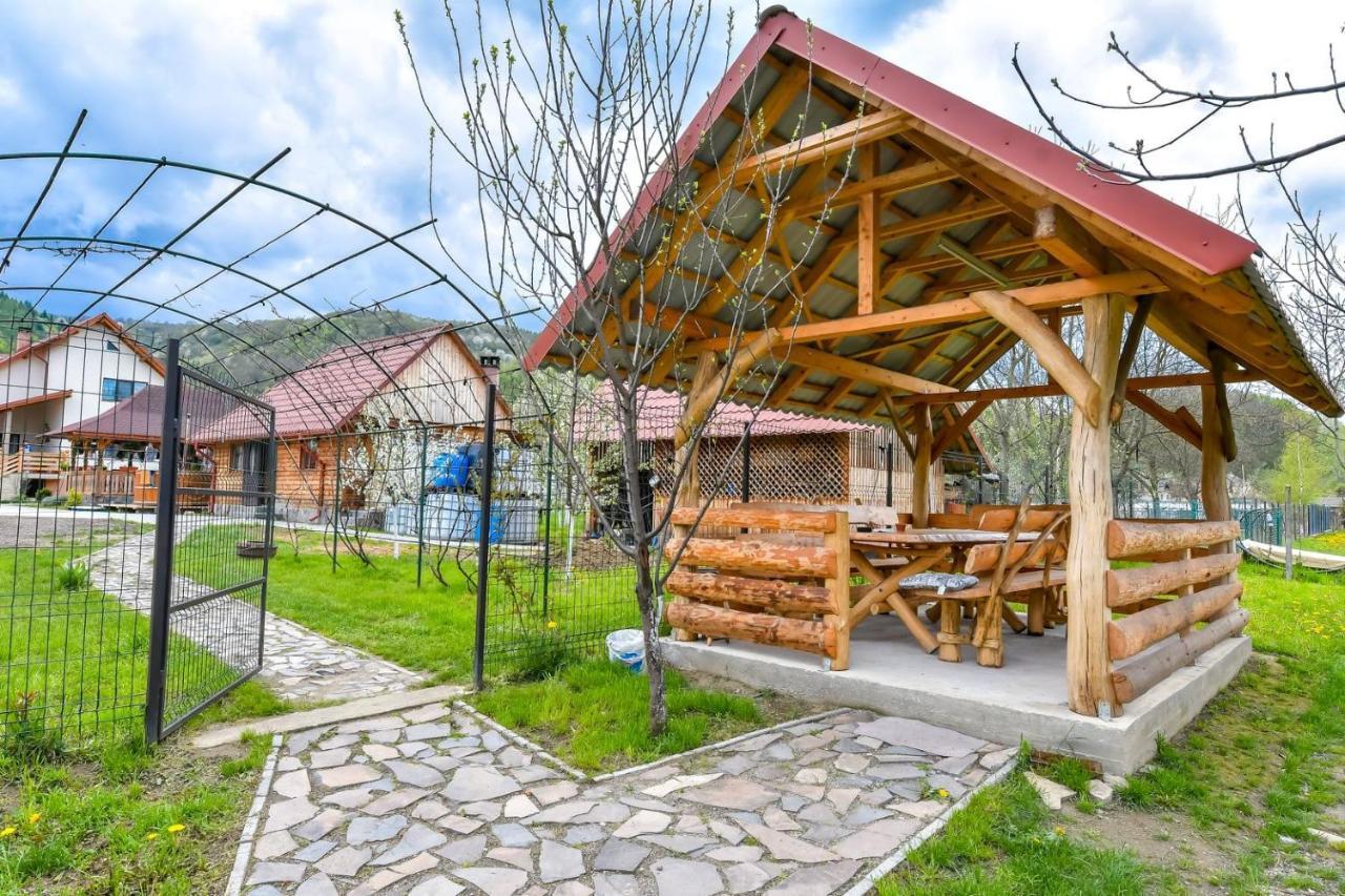 Casa Nely Hotell Sighetu Marmaţiei Exteriör bild