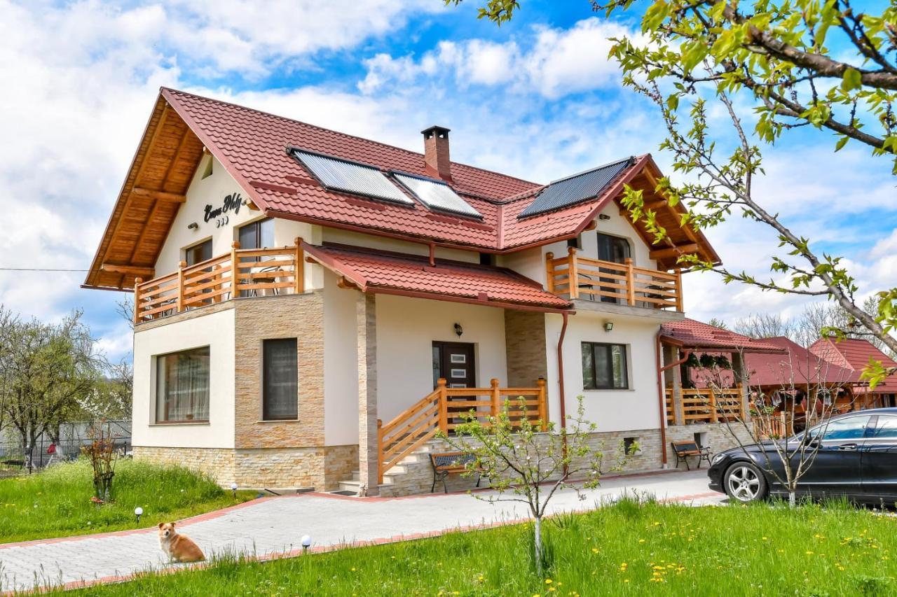 Casa Nely Hotell Sighetu Marmaţiei Exteriör bild